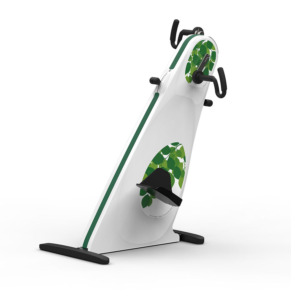 CombiBikePlus4.jpg